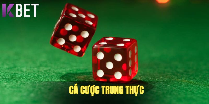 gioi-thieu-kbet-cuoc-trung-thuc